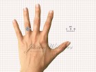 Stock Halo Ring - Photo #4
